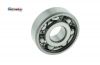 Kuli�kov� lo�isko 6302 C3, SNH