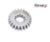 Kolo p�evodovky 4 rychlosti 22Z Simson S51, KR51/1, SR50