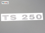Samolepka kastlík MZ TS250 chrom
